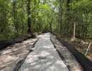 New Blue Heron Nature Trail & Overlook