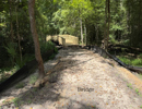 New Blue Heron Nature Trail & Overlook