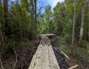New Blue Heron Nature Trail & Overlook